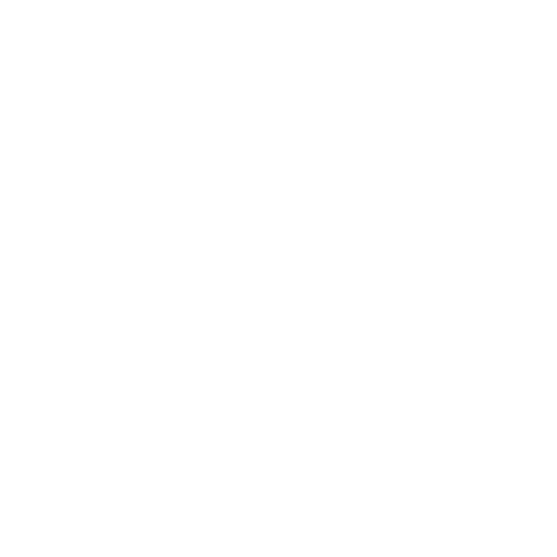Icon - Phone