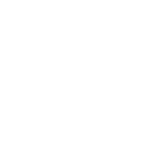 Icon - Info